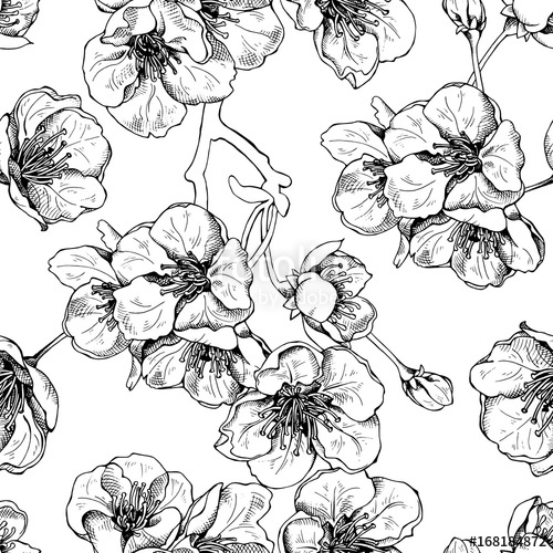 500x500 Seamless Pattern With Flowers Of A Cherry (Sakura). Vector