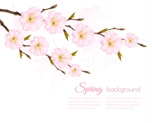 499x402 Spring Background With Pink Sakura Vector Free Vectors Ui Download
