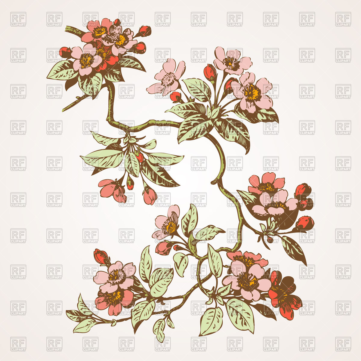 1200x1200 Cherry Branches With Flowers