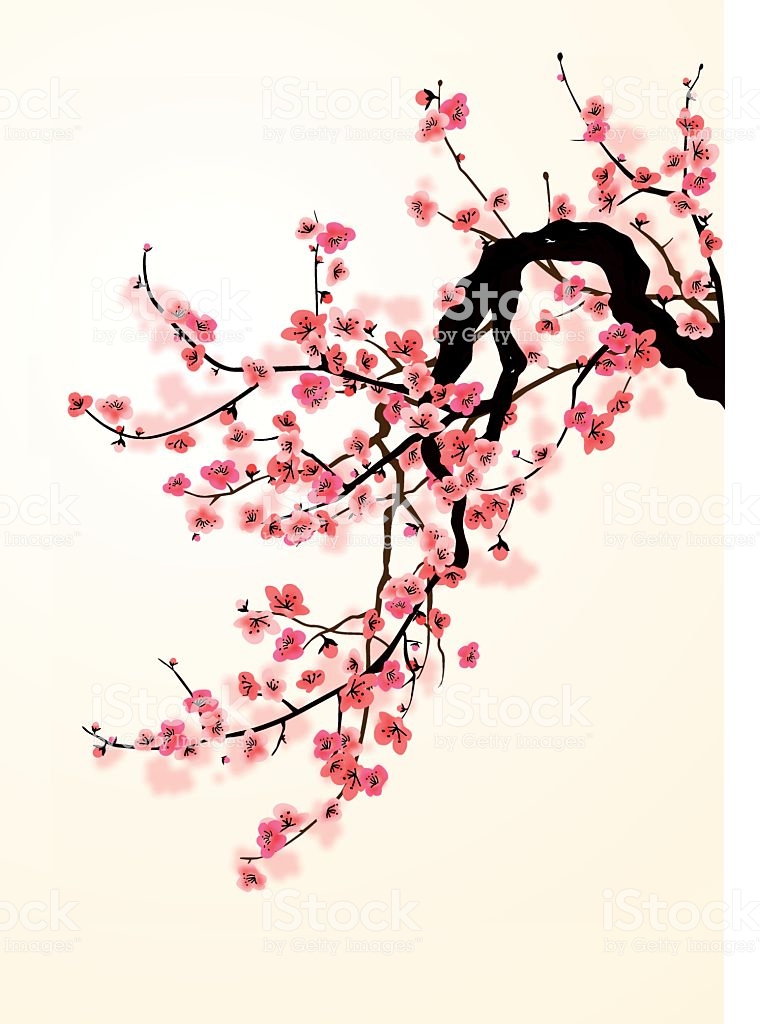 760x1024 Download Sakura Vector Clipart Cherry Blossom Illustration