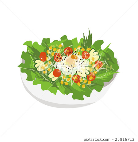 450x464 Salad, Salads, Vector