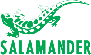 300x182 Salamander Logo Vector (.eps) Free Download