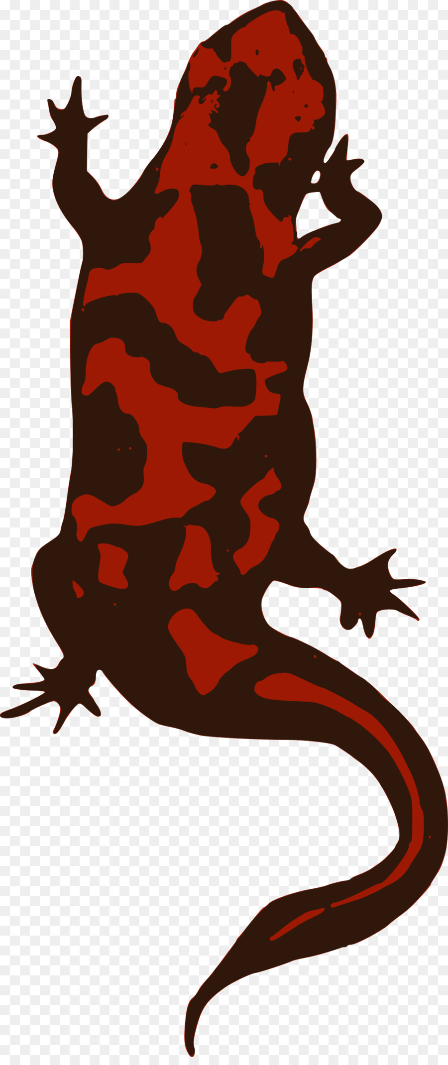 900x2140 Salamander Clipart Reptile