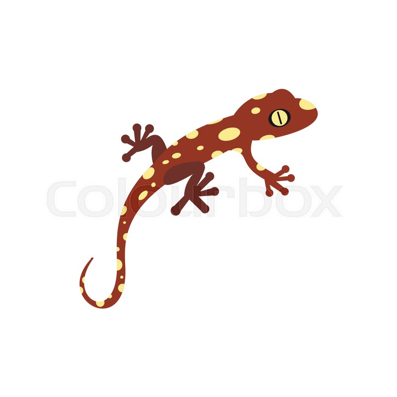 800x800 Salamander Icon In Flat Style On A White Background Stock Vector