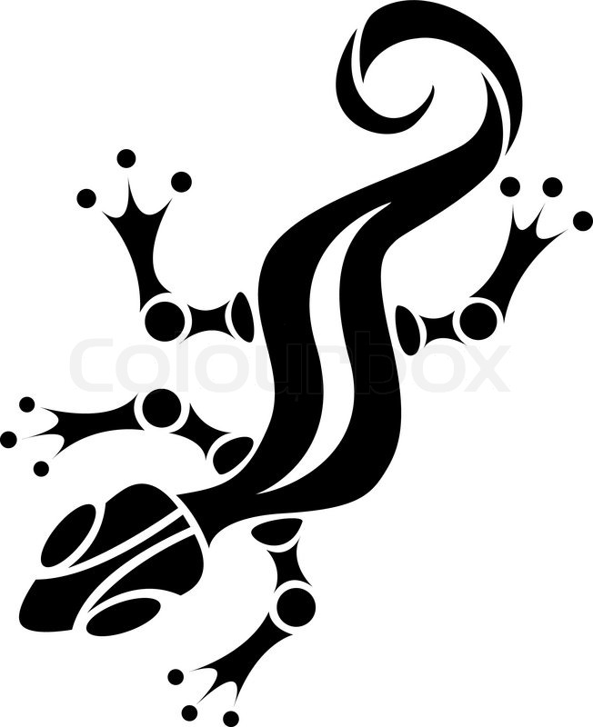 652x800 Vector Isolated Salamander Stock Vector Colourbox