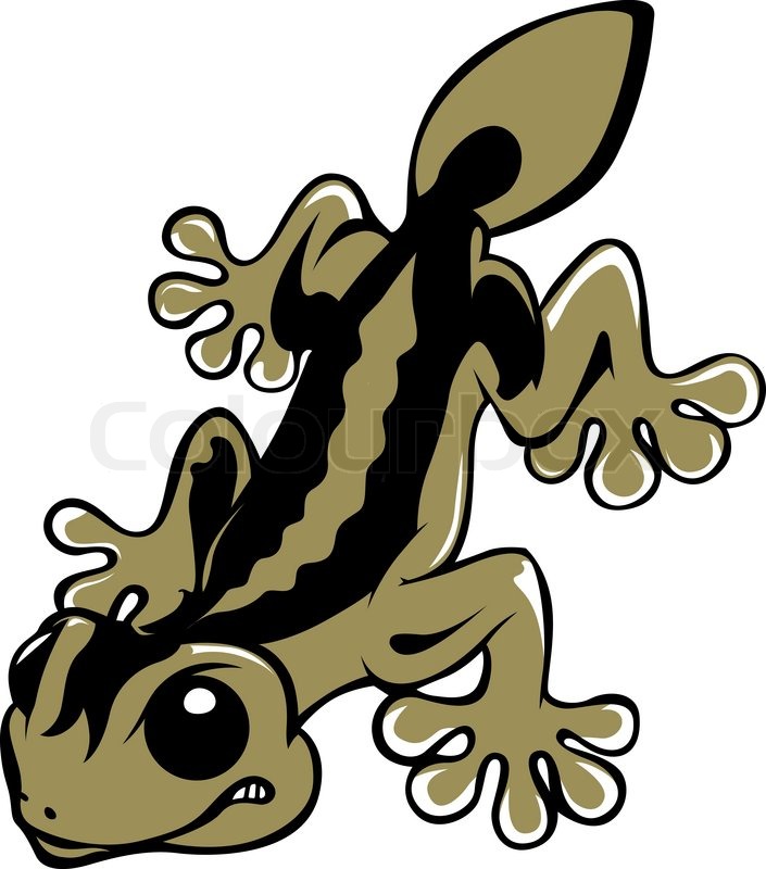 705x800 Vicious Lizard Salamander Stock Vector Colourbox