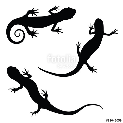 500x500 Salamander Silhouette Illustration Set Stock Image And Royalty