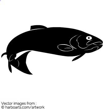 335x355 Download Salmon