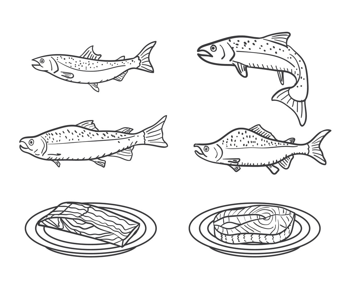 1136x936 Salmon Vector Vector Art Amp Graphics