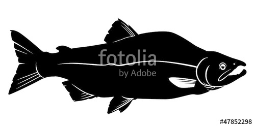 500x250 Salmon Vector Silhouette Stock Image And Royalty Free Vector