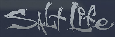 400x130 Salt Life Sa881 Large Signature Decal