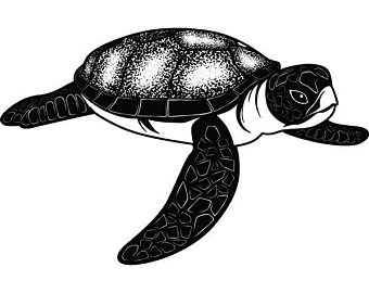 340x270 Salt Life Svg Etsy