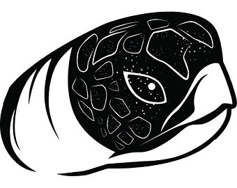 340x270 Salt Life Svg Etsy