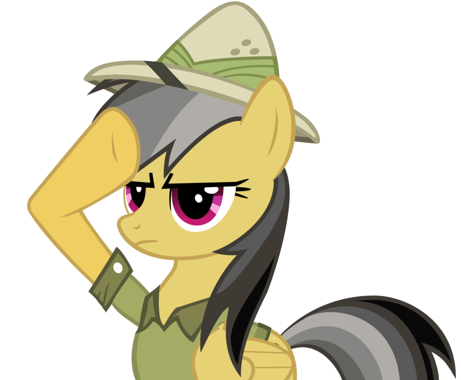 900x743 Daring Do Salute Vector By Bc Programming