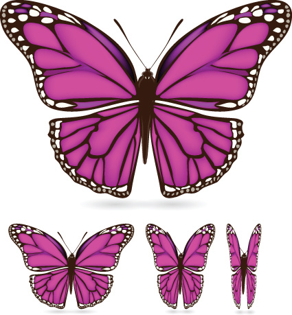 425x459 Different Color Butterfly Sample Vector Free Vector In