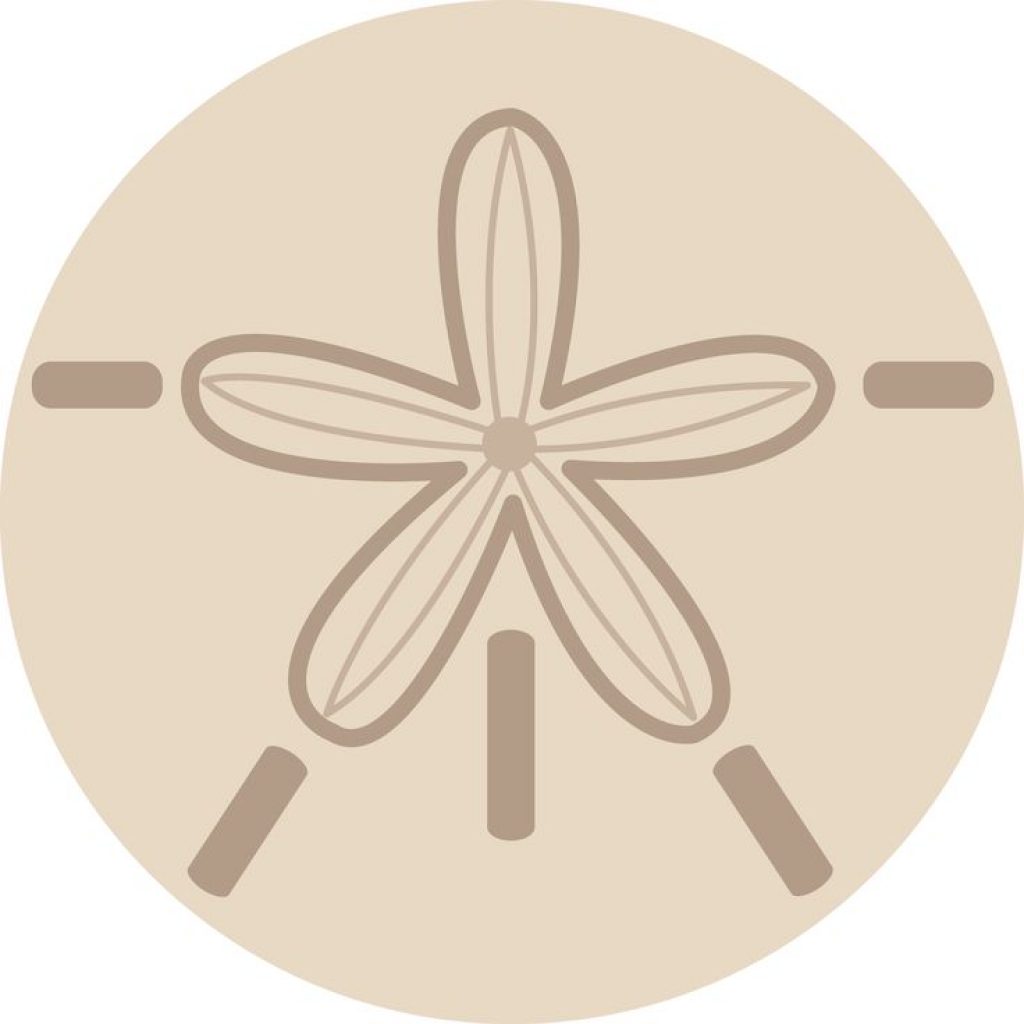 1024x1024 Sand Dollar Clip Art At Clker Vector Online School Clipart 1024
