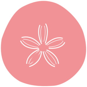 298x297 Sand Dollar Coral Clip Art