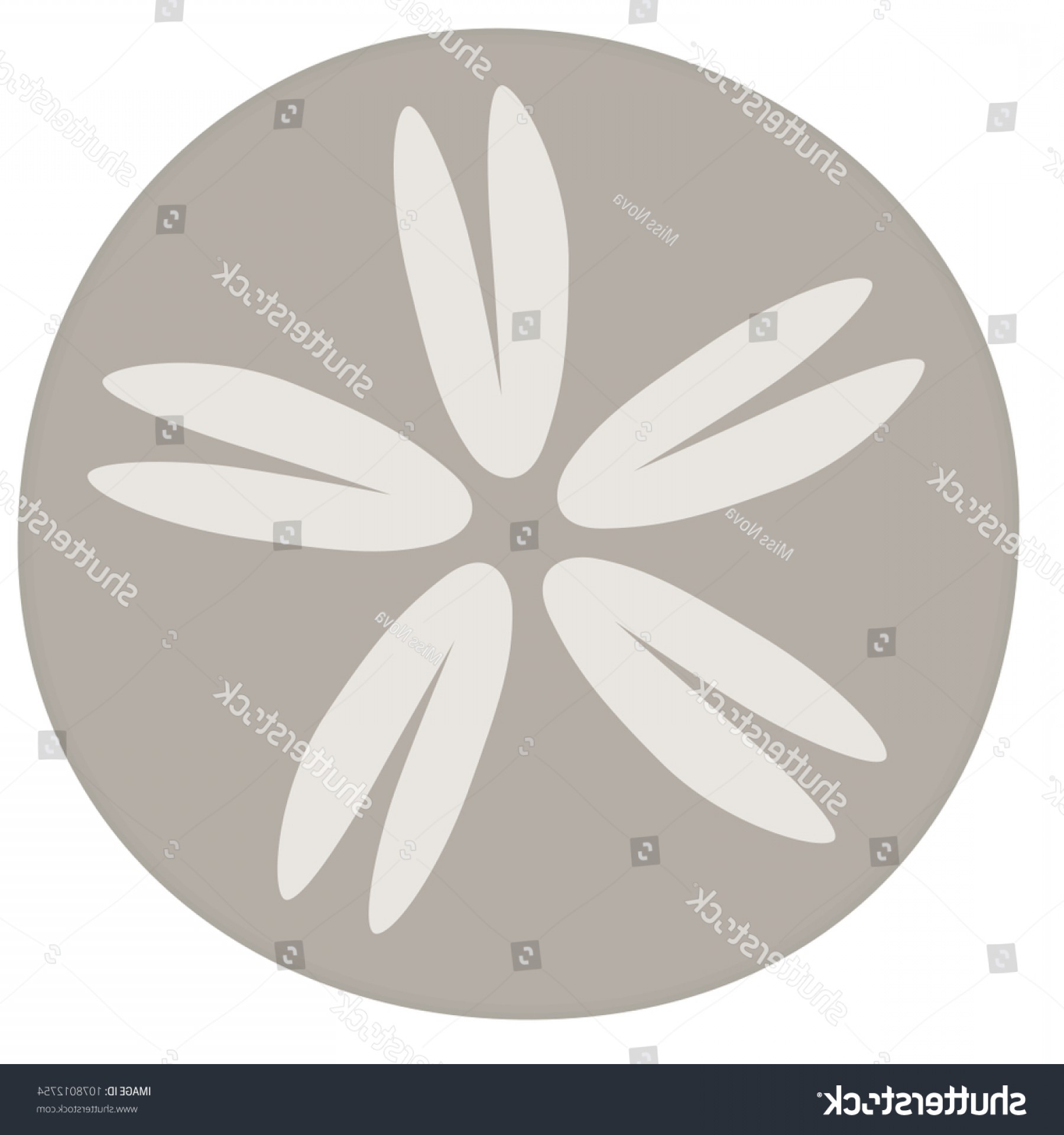 1800x1920 Sand Dollar Vector Isolated Createmepink