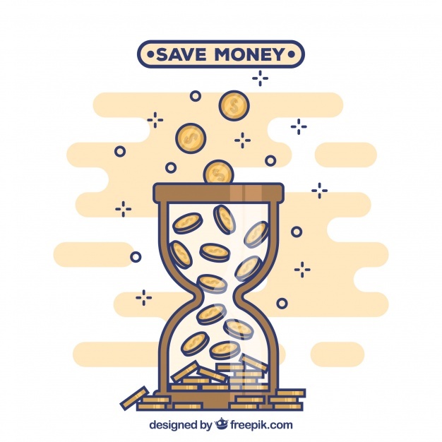 626x626 Sand Dollar Vectors, Photos And Psd Files Free Download