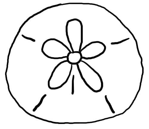 500x435 Sand Dollar Clipart