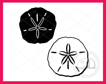 340x270 Sand Dollar Clipart Etsy