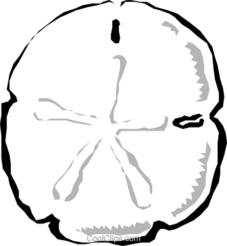 Sand Dollar Vector at GetDrawings | Free download