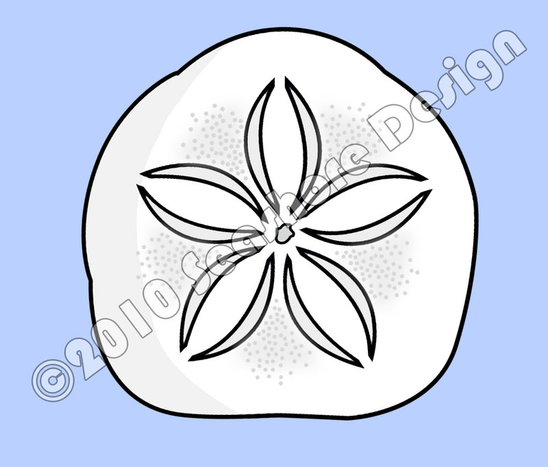 800x682 Vector Sand Dollar By Suricata5