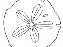 220x165 Sand Dollar Clip Art Sand Dollar Clip Art