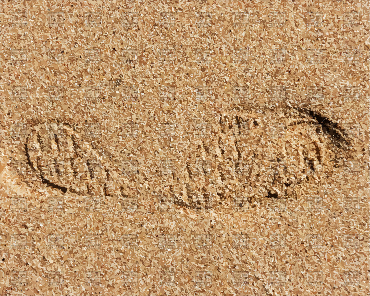 1200x960 Sand Texture With Footprint Vector Image Vector Artwork Of