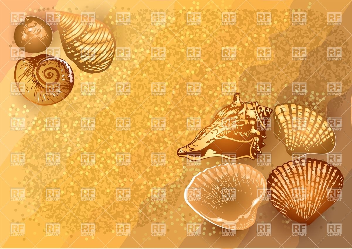 1200x851 Sea Shells On The Sand Vector Image Vector Artwork Of