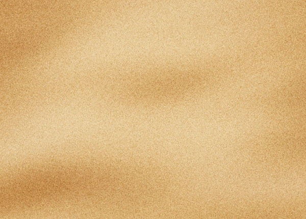 Sand Vector at GetDrawings | Free download