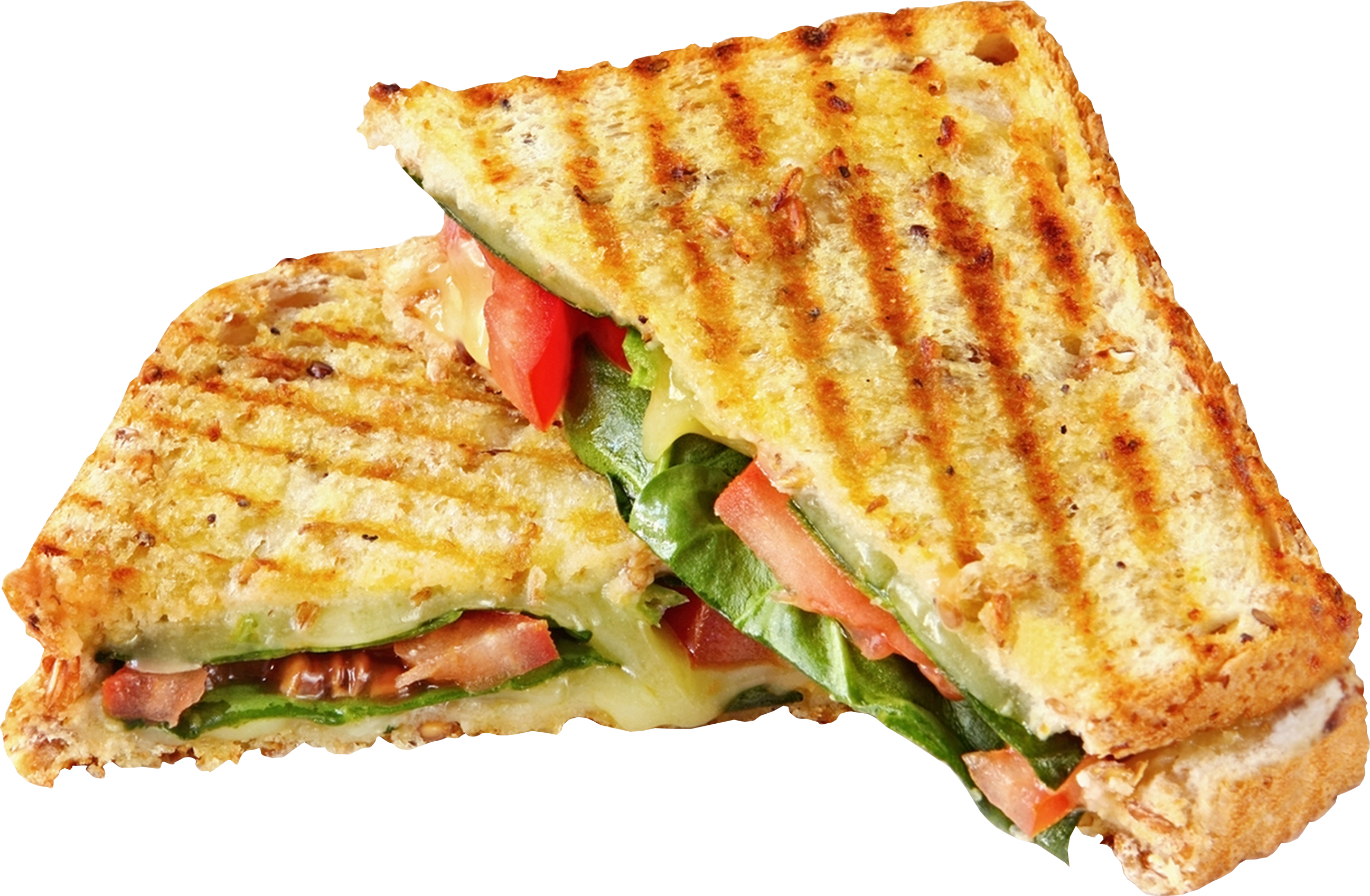 2594x1696 Sandwich Vector