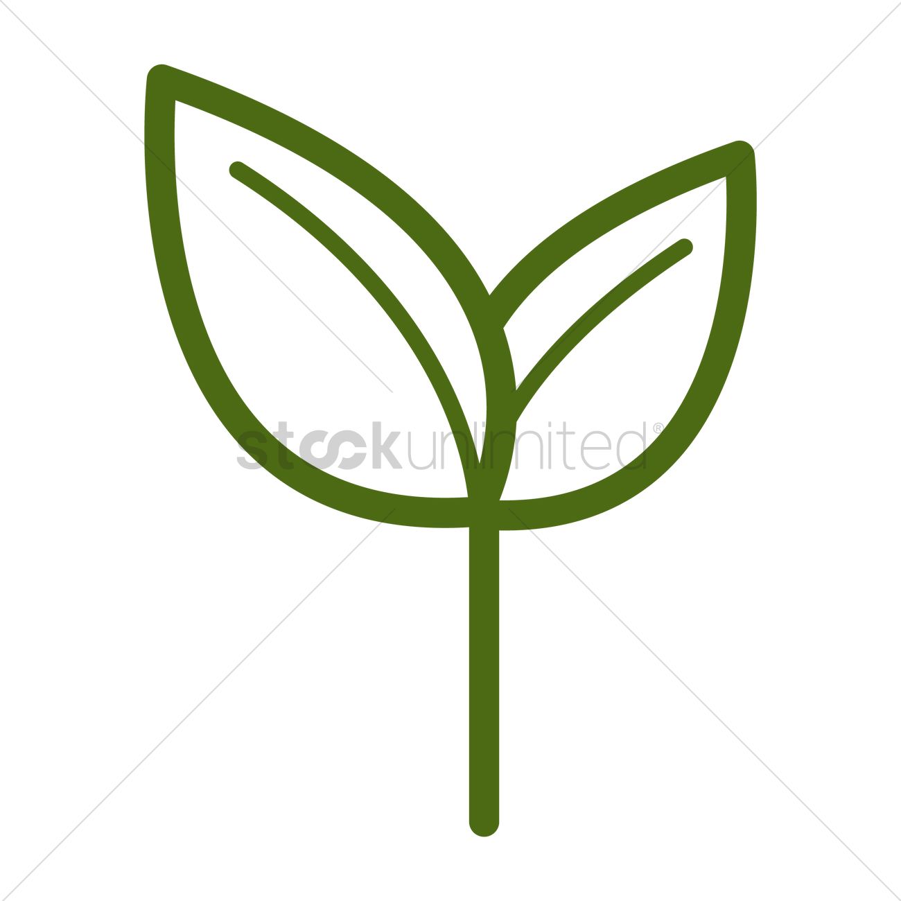 1300x1300 Sapling Vector Image