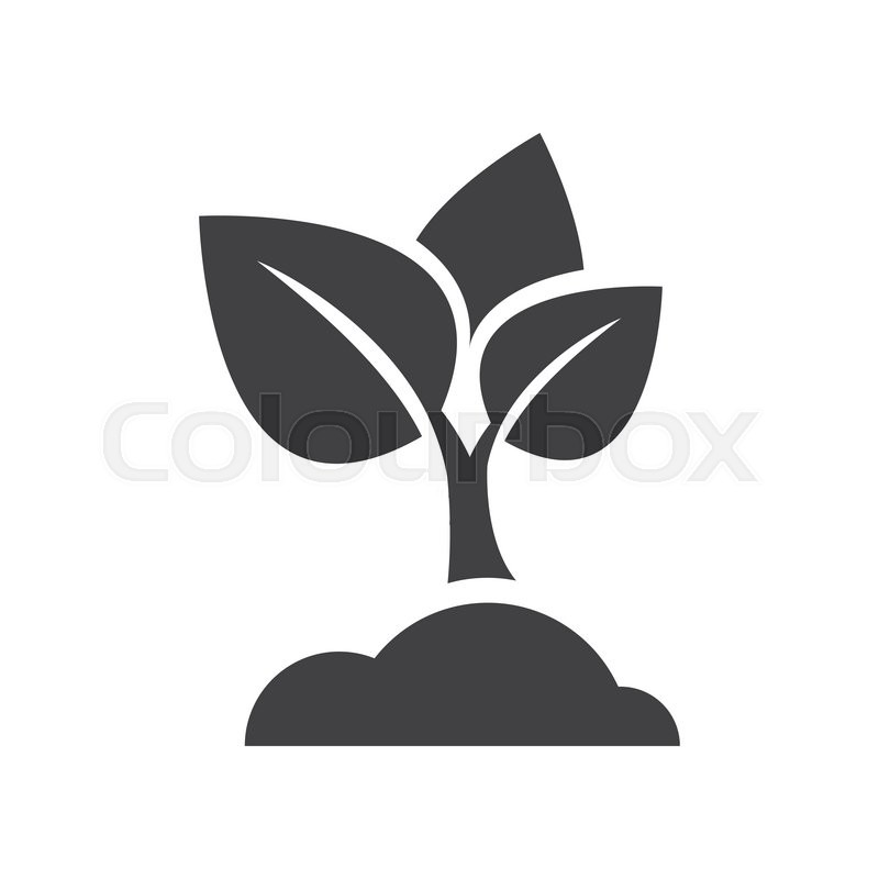 800x800 Sapling Icon Vector Stock Vector Colourbox