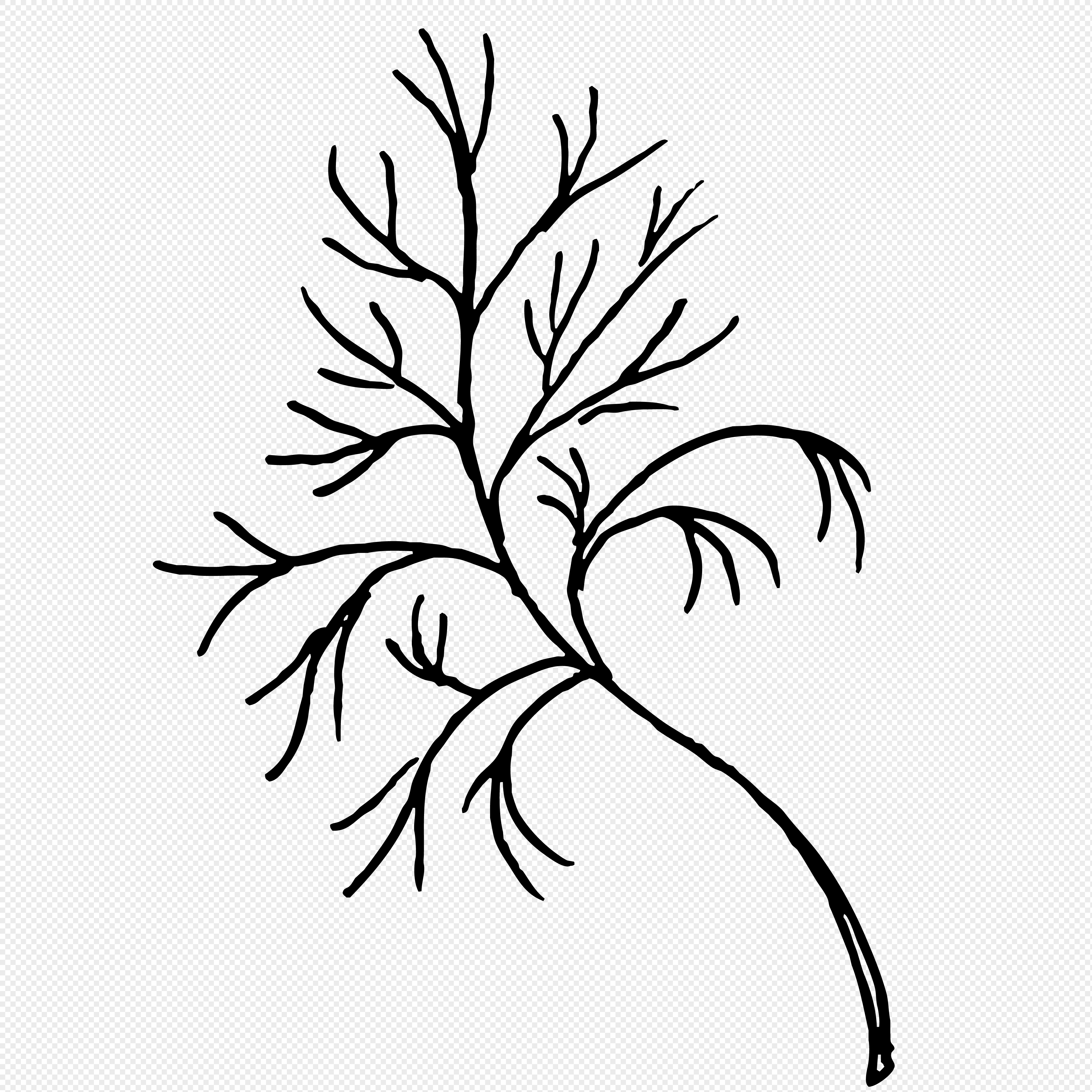 4187x4187 Sapling Vector Png Image Picture Free Download 400299938