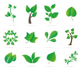 268x233 Sapling Vectors Stock For Free Download About (5) Vectors Stock In