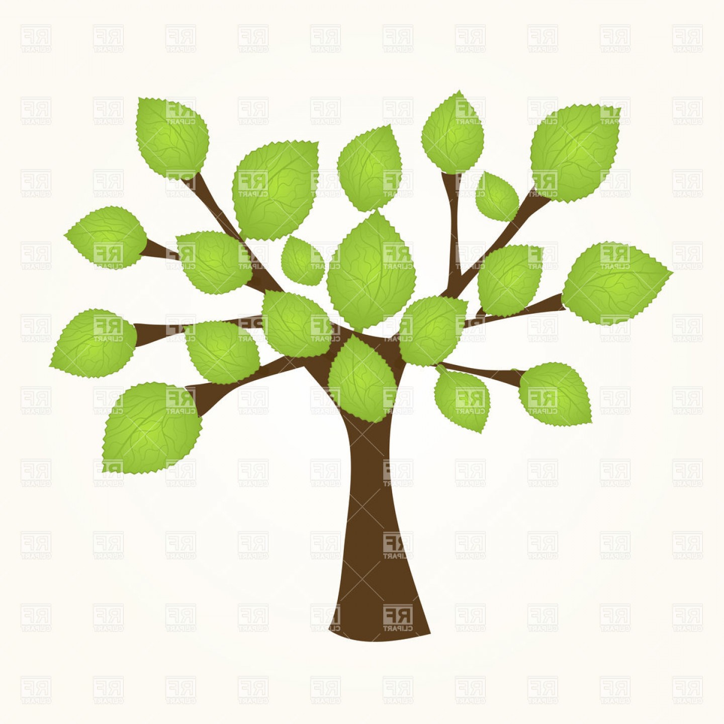 1440x1440 Small Tree Sapling With Green Leaves Vector Clipart Lazttweet