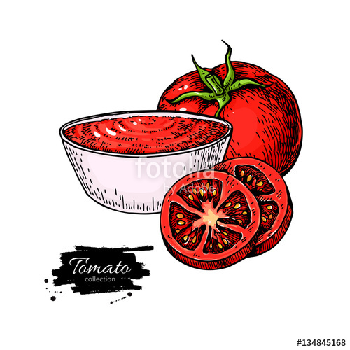 500x500 Tomato Sauce Drawing. Vector Isolated Illustration With Bowl Full