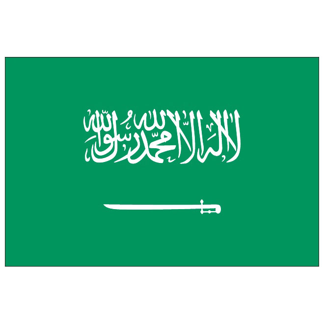 660x660 Saudi Arabia Vector Flag