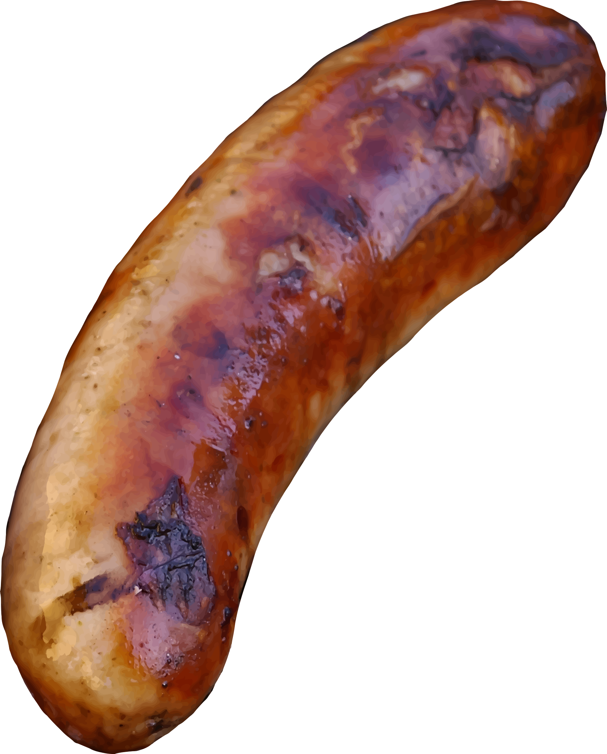 1934x2400 Sausage Vector Clipart Image