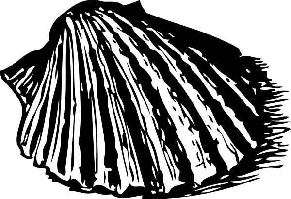 600x410 Scallop Shell Clip Art Free Vector 4vector