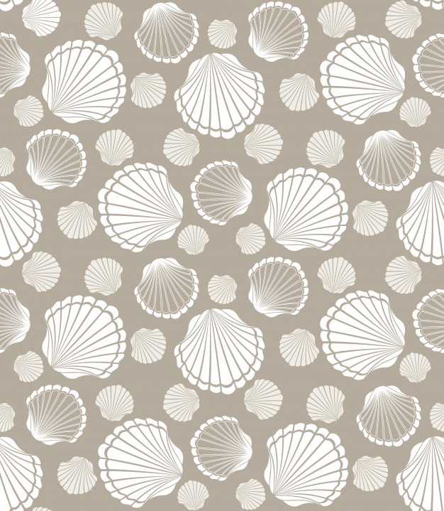 626x719 Scallop Vectors, Photos And Psd Files Free Download