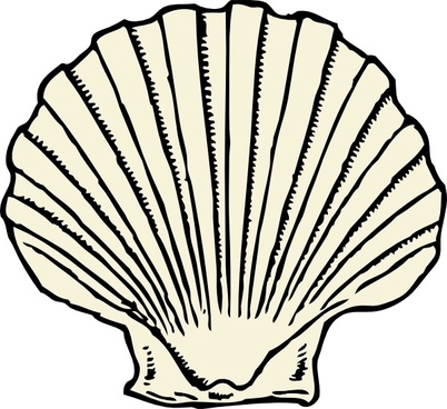 402x368 Scallop Vector Free Vector Download (13 Free Vector) For