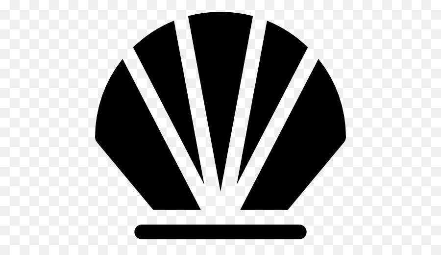 900x520 Seashell Computer Icons Conch Clip Art