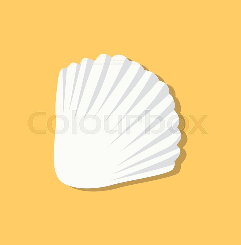 787x800 Cute White Seashell Isolated On Yellow Background, Marine Animal