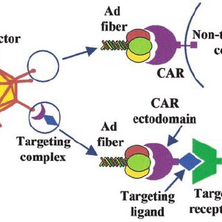 320x320 Utilization Of Scar Ligand Complexes For Receptor Specific