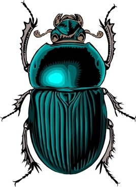 268x368 Free Scarab Vector Free Vector Download (4 Free Vector) For