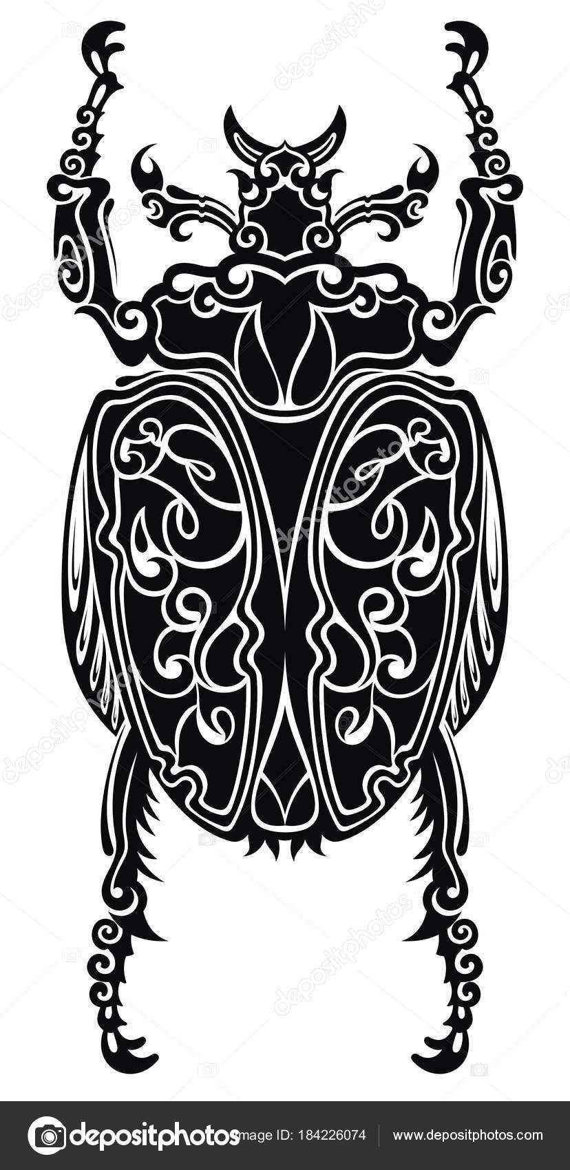 Scarab Vector at GetDrawings | Free download