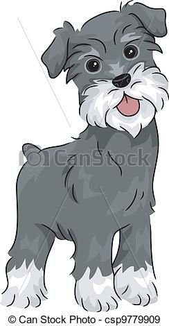 244x470 Eps Vectors Of Miniature Schnauzer