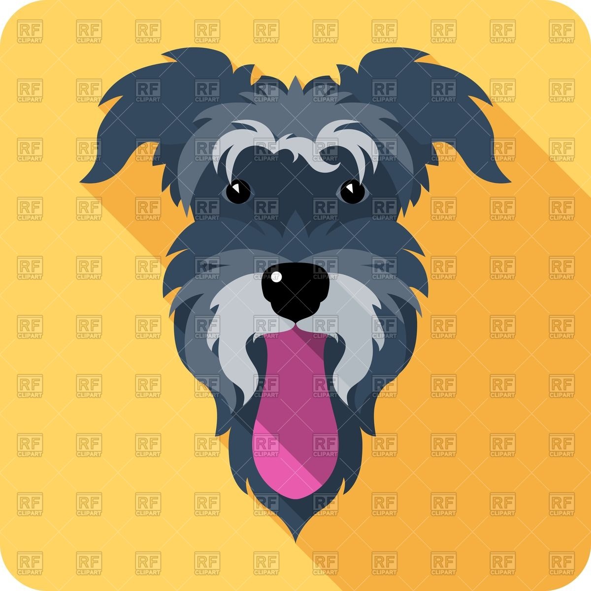 1200x1200 Miniature Schnauzer Breed